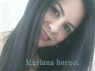 Mariana_hornet