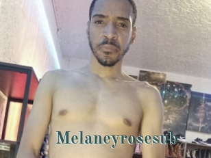 Melaneyrosesub
