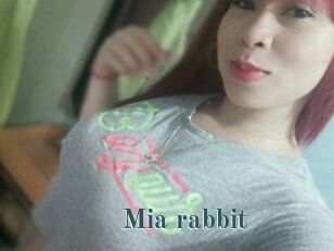 Mia_rabbit