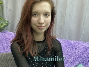 Minamiler