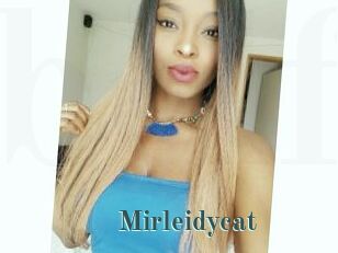 Mirleidycat