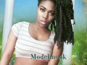 Modelmook