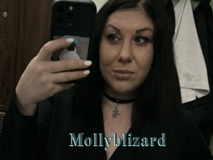 Mollyblizard