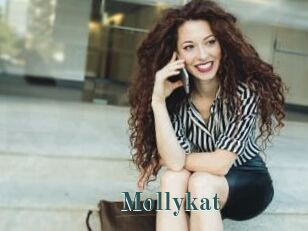 Mollykat