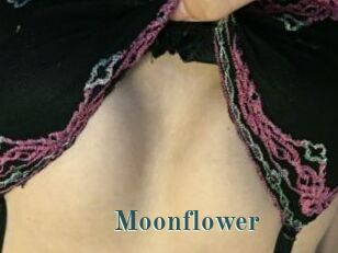 Moonflower