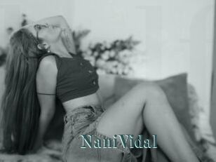 NaniVidal