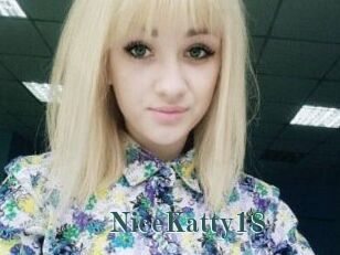 NiceKatty18
