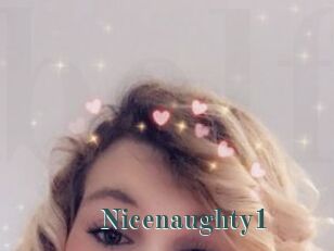 Nicenaughty1