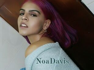 NoaDavis