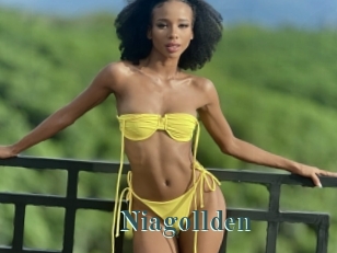 Niagollden