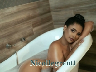 nicollegrantt Belles Femmes