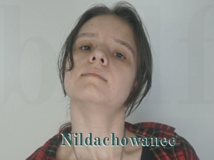 Nildachowanec