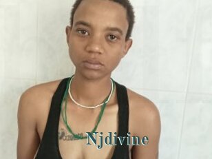 Njdivine