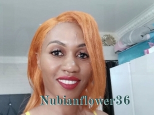 Nubianflower36