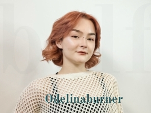 Odelinaburner