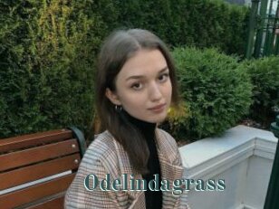 Odelindagrass