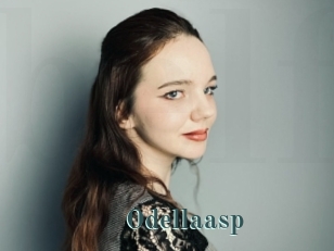 Odellaasp