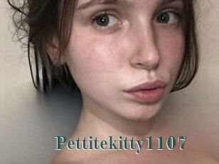 Pettitekitty1107