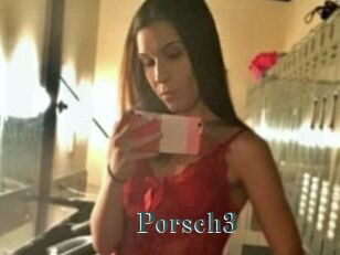 Porsch3
