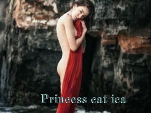 Princess_cat_ica