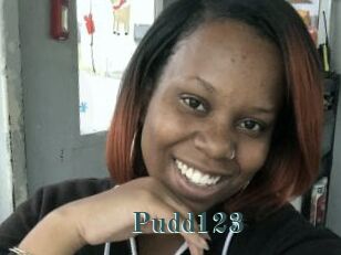 Pudd123