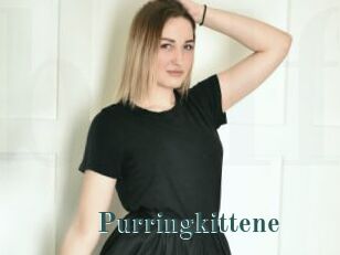 Purringkittene