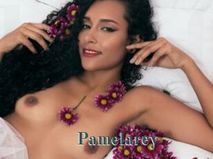 Pamelarey