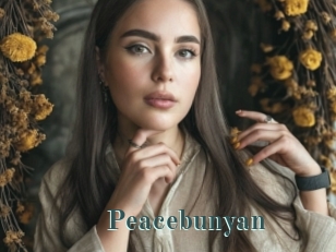 Peacebunyan