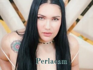 Perlacam