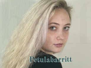 Petulabarritt