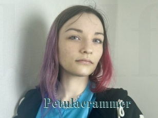 Petulacrammer