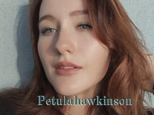 Petulahawkinson
