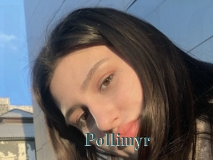 Pollimyr