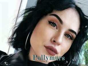 Pollymurs