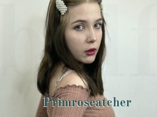 Primroseatcher