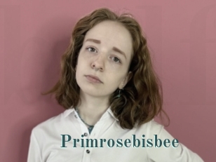 Primrosebisbee