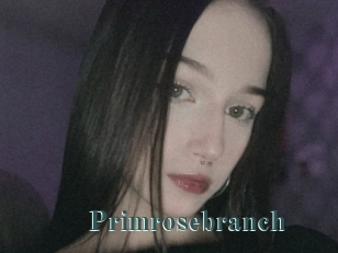 Primrosebranch