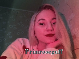 Primrosegaff