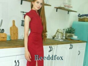 Reeddfox
