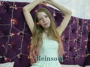 Reinsoul