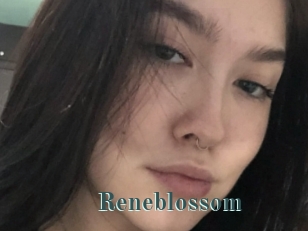 Reneblossom