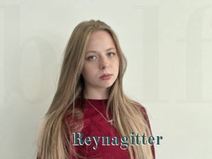 Reynagitter