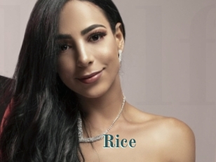 Rice
