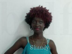 Shandy
