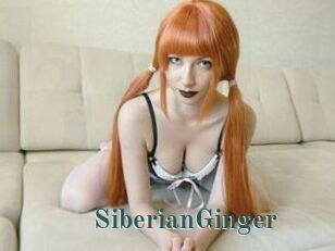 SiberianGinger