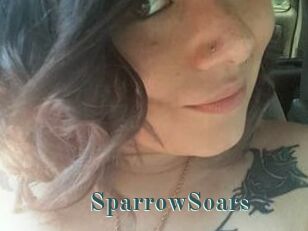 SparrowSoars