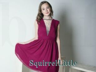 SquirrelLittle