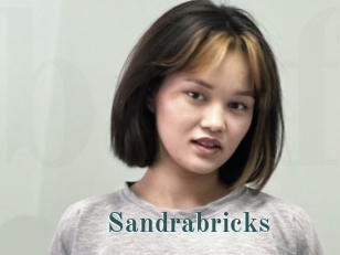 Sandrabricks