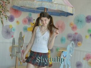 Shytulip