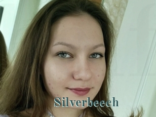 Silverbeech